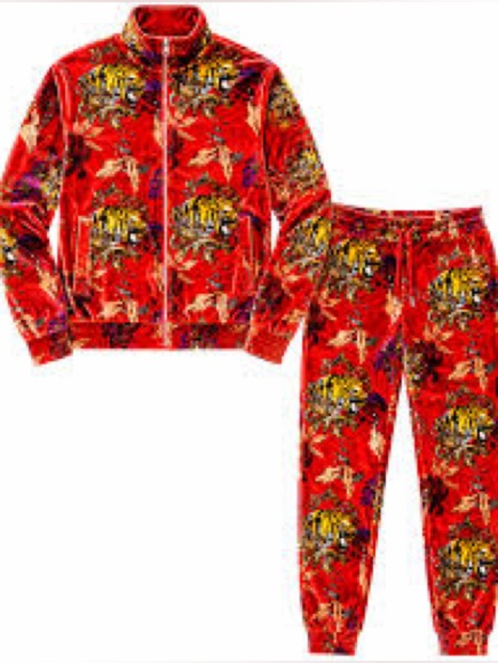 Men’s rebel minds TigerPrint sweatpants Set